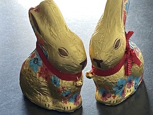 Chocolate Easter Bunnies